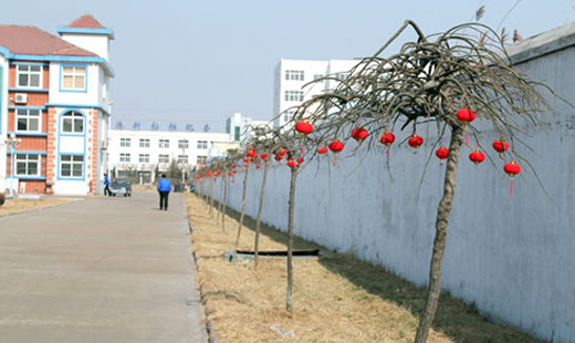 青島華海環(huán)保工業(yè)有限公司張燈結(jié)彩，迎接新春和元宵佳節(jié)