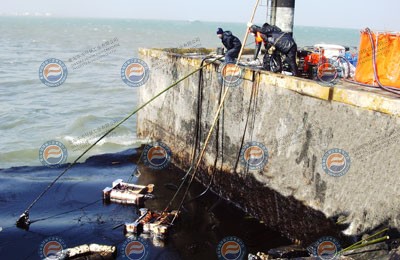 轉(zhuǎn)盤式收油機